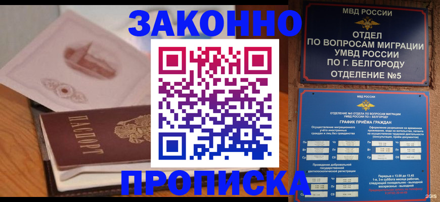 прописка в Петропавловске-Камчатском